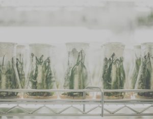 Life Science_FORDATA.